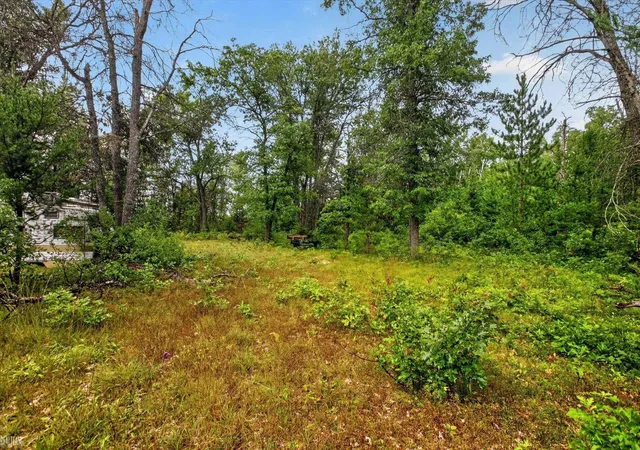 Photo 2 of Sale Pending at 00 Valley Vista Lot A & 13 Dr, Luzerne, MI 48636 | MLS# 50220600 | Listing updated on 2026-09-04