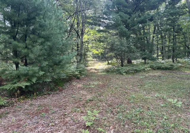 Photo 2 of Land for sale at Beaver Rd, Bitely, MI 49309 | MLS# 70555096 | Listing updated on 2026-09-03