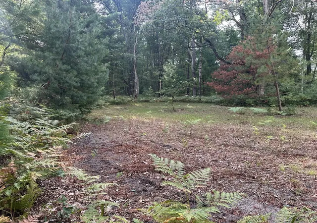 Photo 3 of Land for sale at Beaver Rd, Bitely, MI 49309 | MLS# 70555096 | Listing updated on 2026-09-03