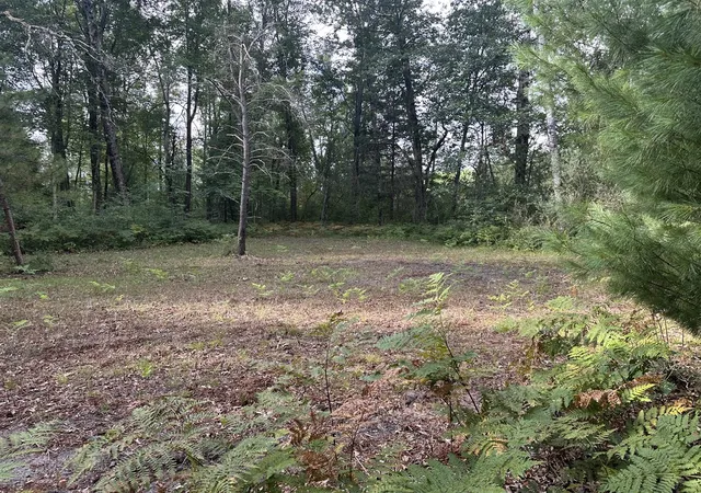 Photo 3 of Land for sale at Beaver Rd, Bitely, MI 49309 | MLS# 70555096 | Listing updated on 2026-09-03