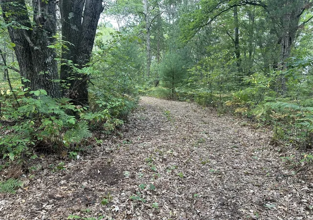 Photo 4 of Land for sale at Beaver Rd, Bitely, MI 49309 | MLS# 70555096 | Listing updated on 2026-09-03