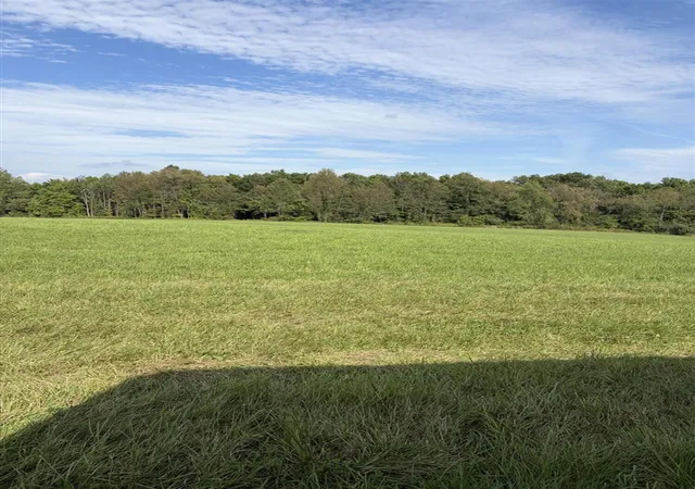 Photo 4 of Land for sale at 8680 Bird Rd, Hastings, MI 49058 | MLS# 70556427 | Listing updated on 2026-09-04