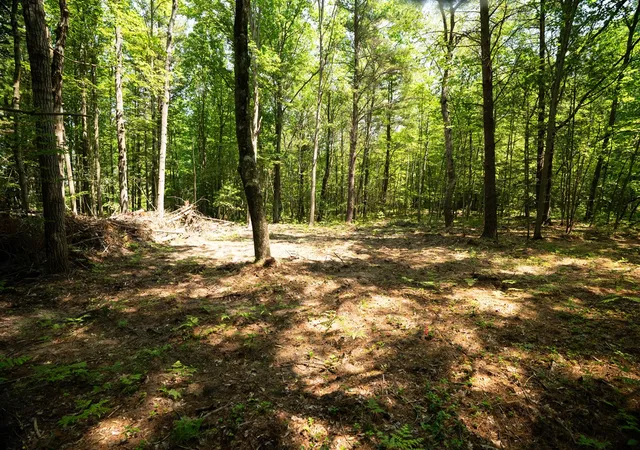 Photo 1 of Sale Pending at V/l W 114a Jefferson Rd, Hart, MI 49420 | MLS# 70556558 | Listing updated on 2026-09-28