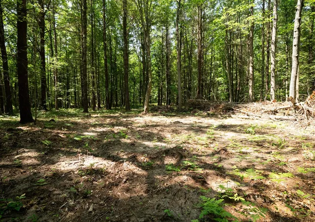 Photo 2 of Sale Pending at V/l W 114a Jefferson Rd, Hart, MI 49420 | MLS# 70556558 | Listing updated on 2026-09-28
