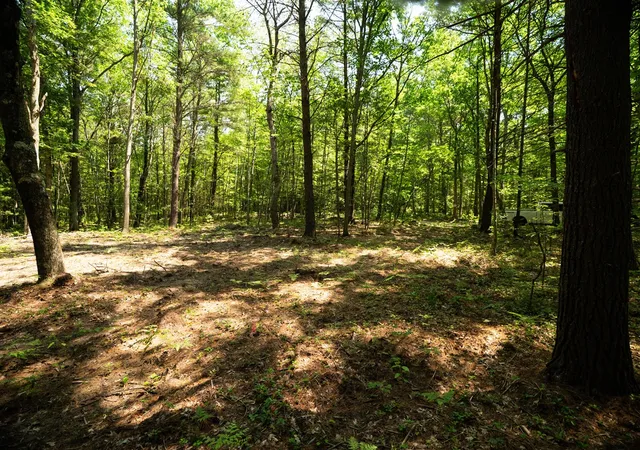 Photo 3 of Sale Pending at V/l W 114a Jefferson Rd, Hart, MI 49420 | MLS# 70556558 | Listing updated on 2026-09-28