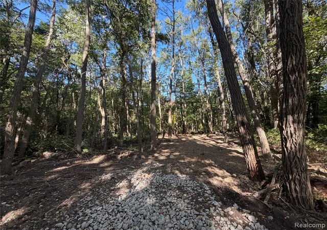 Photo 3 of Land for sale at Vl Wildwood 29 Wildwood Rd, Davisburg, MI 48350 | MLS# 61036982 | Listing updated on 2026-10-08