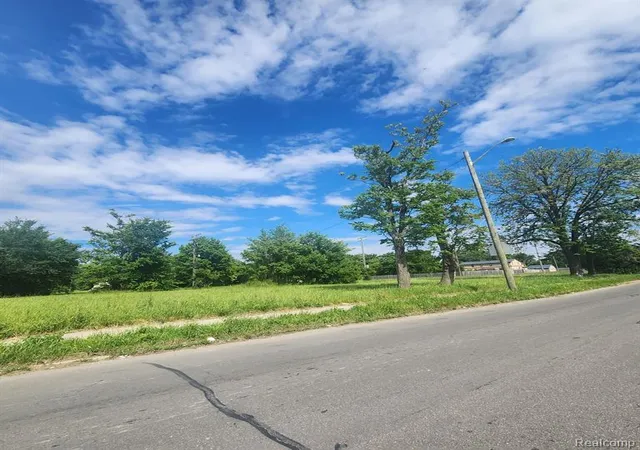 Photo 1 of Land for sale at 4400 Junction St, Detroit, MI 48210 2572 | MLS# 60315169 | Listing updated on 2026-09-11