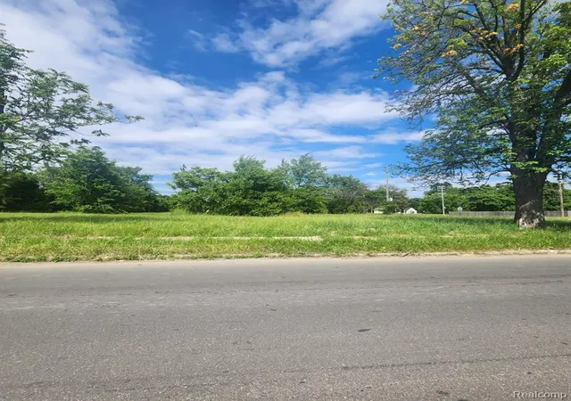Photo 3 of Land for sale at 4400 Junction St, Detroit, MI 48210 2572 | MLS# 60315169 | Listing updated on 2026-09-11
