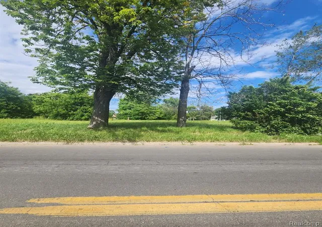 Photo 3 of Land for sale at 4400 Junction St, Detroit, MI 48210 2572 | MLS# 60315169 | Listing updated on 2026-09-11