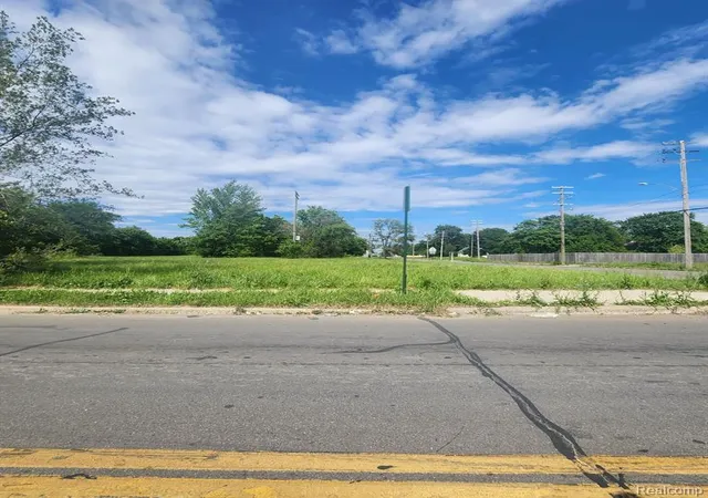 Photo 4 of Land for sale at 4400 Junction St, Detroit, MI 48210 2572 | MLS# 60315169 | Listing updated on 2026-09-11