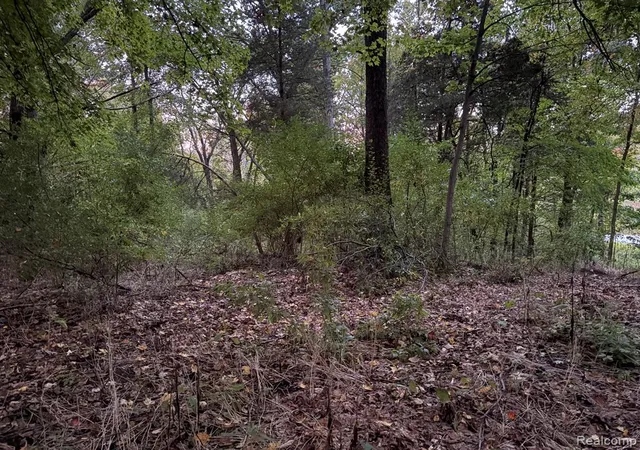 Photo 2 of Land for sale at Vac Sandy Crk Dr, South Lyon, MI 48178 | MLS# 61035160 | Listing updated on 2026-10-04