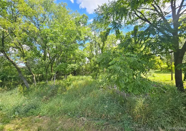 Photo 2 of Land for sale at O Byron Rd, Fowlerville, MI 48836 | MLS# 61015982 | Listing updated on 2026-09-08