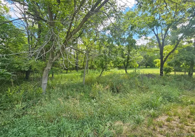 Photo 3 of Land for sale at O Byron Rd, Fowlerville, MI 48836 | MLS# 61015982 | Listing updated on 2026-09-08