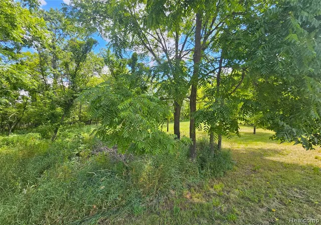 Photo 4 of Land for sale at O Byron Rd, Fowlerville, MI 48836 | MLS# 61015982 | Listing updated on 2026-09-08