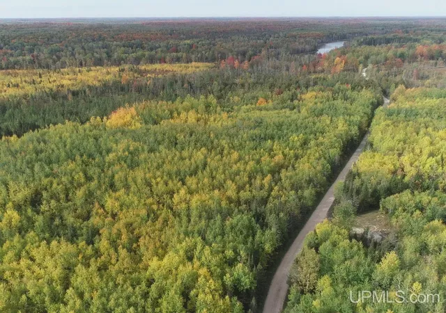 Photo 1 of Land for sale at 40 Acres Plantation Ln, Rock, MI 49880 | MLS# 50223679 | Listing updated on 2026-10-02