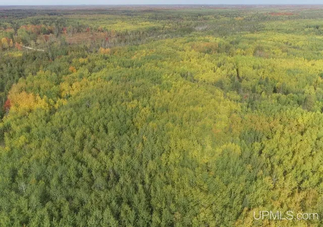 Photo 3 of Land for sale at 40 Acres Plantation Ln, Rock, MI 49880 | MLS# 50223679 | Listing updated on 2026-10-02