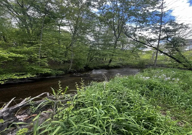 Photo 3 of Land for sale at 5650 Morrison Lake Rd, Saranac, MI 48881 | MLS# 70473375 | Listing updated on 2026-09-02
