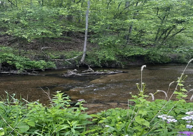 Photo 4 of Land for sale at 5650 Morrison Lake Rd, Saranac, MI 48881 | MLS# 70473375 | Listing updated on 2026-09-02