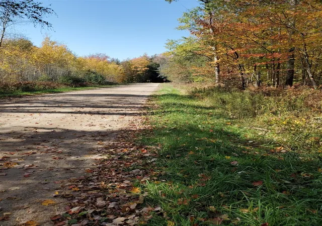 Photo 2 of Land for sale at 11326 Berg Rd, Kaleva, MI 49645 | MLS# 70563967 | Listing updated on 2026-10-13