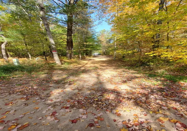 Photo 3 of Land for sale at 11326 Berg Rd, Kaleva, MI 49645 | MLS# 70563967 | Listing updated on 2026-10-13
