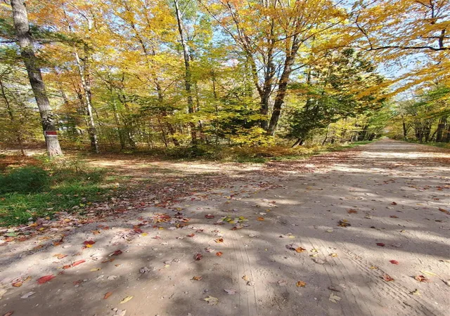 Photo 3 of Land for sale at 11326 Berg Rd, Kaleva, MI 49645 | MLS# 70563967 | Listing updated on 2026-10-13