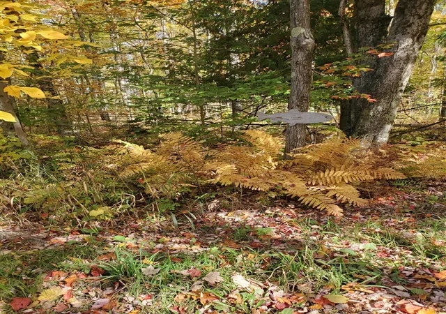 Photo 4 of Land for sale at 11326 Berg Rd, Kaleva, MI 49645 | MLS# 70563967 | Listing updated on 2026-10-13