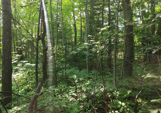 Photo 4 of Land for sale at 00 W Us-23, Cheboygan, MI 49721 | MLS# 80072988 | Listing updated on 2026-08-31