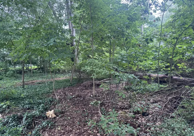 Photo 1 of Land for sale at 0 V/l Hollywood Dr, Holland, MI 49424 | MLS# 70559472 | Listing updated on 2026-09-25