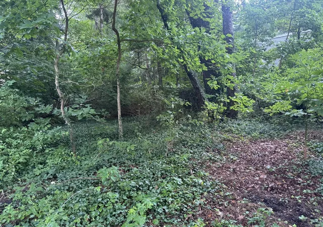 Photo 2 of Land for sale at 0 V/l Hollywood Dr, Holland, MI 49424 | MLS# 70559472 | Listing updated on 2026-09-25