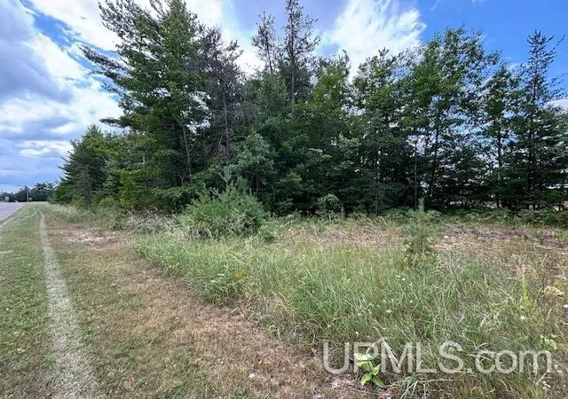Photo 3 of Land for sale at Vl US 2 Hwy, Manistique, MI 49854 | MLS# 50221340 | Listing updated on 2026-09-12