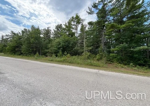 Photo 4 of Land for sale at Vl US 2 Hwy, Manistique, MI 49854 | MLS# 50221340 | Listing updated on 2026-09-12