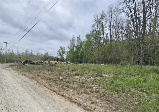 Photo 3 of Land for sale at S Michigan Ave, Albion, MI 49224 | MLS# 70533031 | Listing updated on 2026-09-11