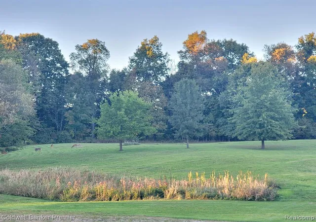 Photo 1 of Land for sale at 3975 Hagerman Rd, Leonard, MI 48367 2535 | MLS# 61013003 | Listing updated on 2026-09-28