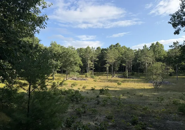 Photo 3 of Sale Pending at 8877 9 Mile Bridge Rd, Manistee, MI 49660 | MLS# 70554940 | Listing updated on 2026-10-01