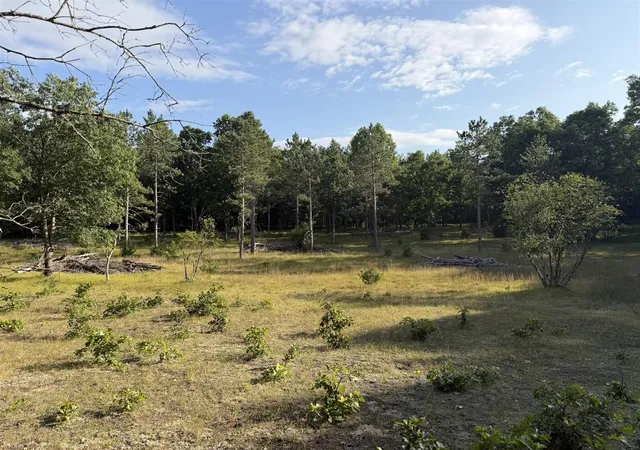 Photo 3 of Sale Pending at 8877 9 Mile Bridge Rd, Manistee, MI 49660 | MLS# 70554940 | Listing updated on 2026-10-01