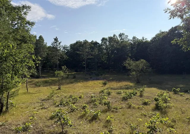 Photo 4 of Sale Pending at 8877 9 Mile Bridge Rd, Manistee, MI 49660 | MLS# 70554940 | Listing updated on 2026-10-01