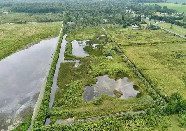 Photo 4 of Sale Pending at 00 S Santiago Rd, Au Gres, MI 48703 | MLS# 70554964 | Listing updated on 2026-09-03