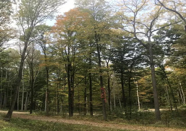 Photo 3 of Land for sale at 2996 Court Dr, Lowell, MI 49331 | MLS# 70543200 | Listing updated on 2026-09-03