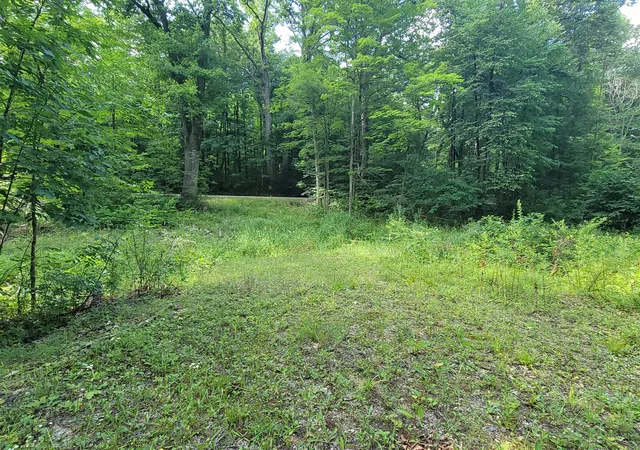 Photo 3 of Land for sale at 2996 Court Dr, Lowell, MI 49331 | MLS# 70543200 | Listing updated on 2026-09-03