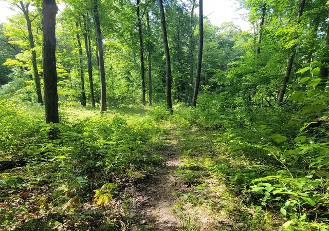 Photo 4 of Land for sale at 2996 Court Dr, Lowell, MI 49331 | MLS# 70543200 | Listing updated on 2026-09-03