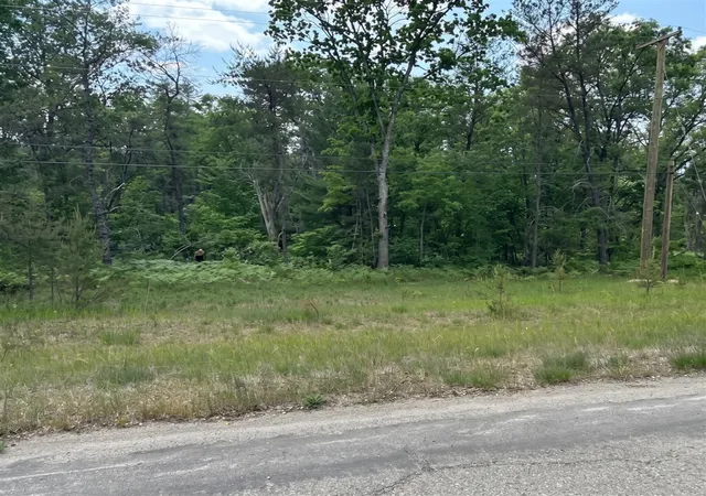 Photo 1 of Land for sale at 3188 S Yale Ave, Baldwin, MI 49304 | MLS# 70562334 | Listing updated on 2026-10-02