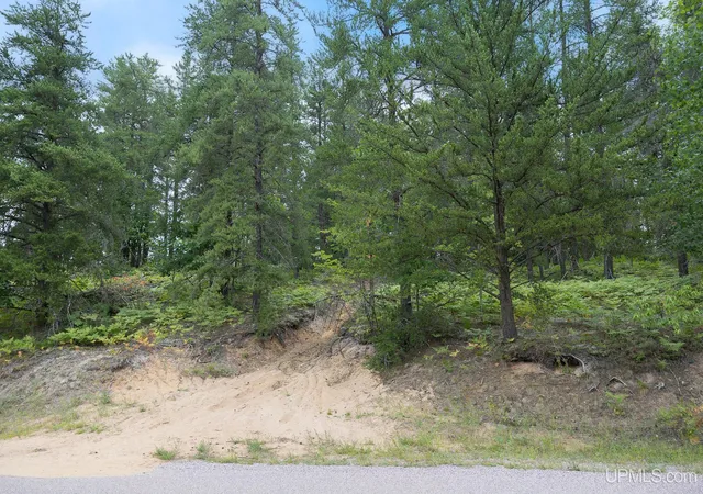Land for sale at Lot 1 S Basin Dr, Negaunee, MI 49866 | MLS# 50220482