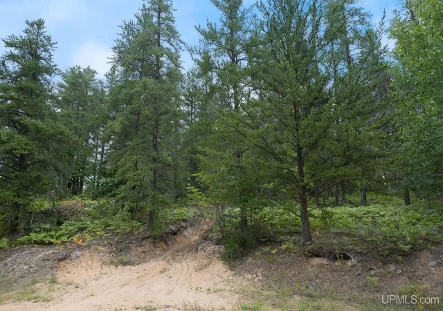 Photo 2 of Land for sale at Lot 1 S Basin Dr, Negaunee, MI 49866 | MLS# 50220482 | Listing updated on 2026-09-02
