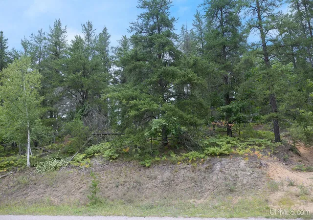 Photo 3 of Land for sale at Lot 1 S Basin Dr, Negaunee, MI 49866 | MLS# 50220482 | Listing updated on 2026-09-02