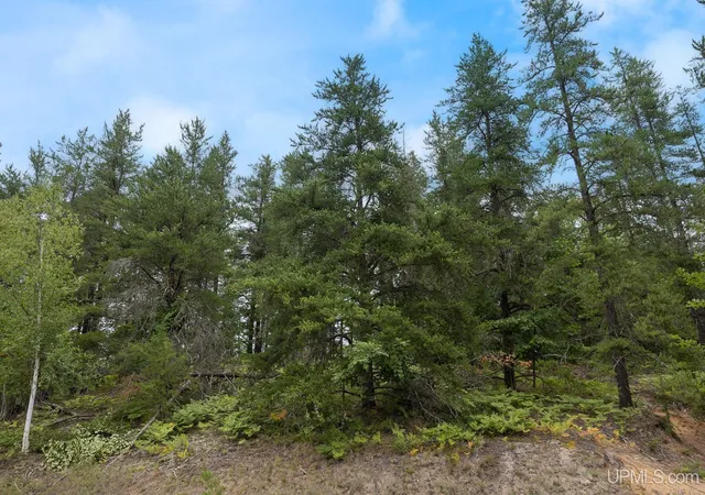 Photo 4 of Land for sale at Lot 1 S Basin Dr, Negaunee, MI 49866 | MLS# 50220482 | Listing updated on 2026-09-02