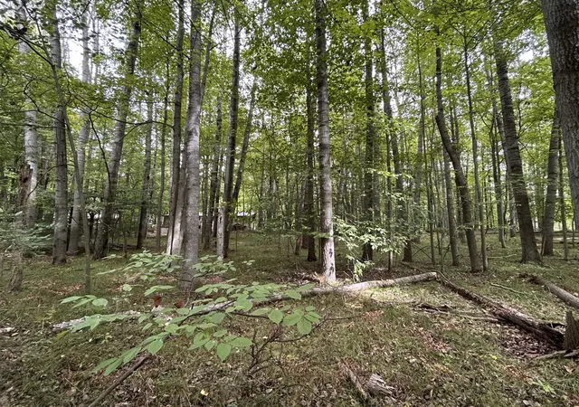 Photo 2 of Land for sale at 8228 Tanglewood Trl, Stanwood, MI 49346 | MLS# 70560444 | Listing updated on 2026-10-07