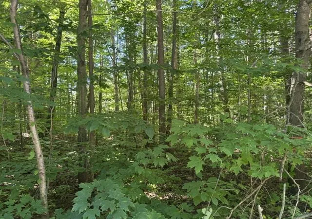 Photo 1 of Land for sale at 5818 Hunters Ridge, Fennville, MI 49408 | MLS# 70561400 | Listing updated on 2026-10-01