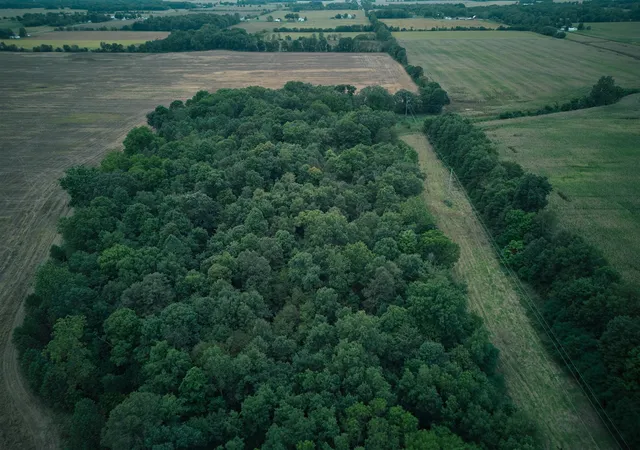 Photo 1 of Land for sale at Herl Rd, Bronson, MI 49028 | MLS# 70561264 | Listing updated on 2026-09-28