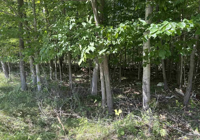 Photo 3 of Land for sale at Lots 33,34,35 Bay Colony Rd, Kewadin, MI 49648 | MLS# 80073462 | Listing updated on 2026-09-14