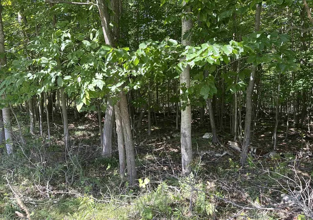 Photo 3 of Land for sale at Lots 33,34,35 Bay Colony Rd, Kewadin, MI 49648 | MLS# 80073462 | Listing updated on 2026-09-14